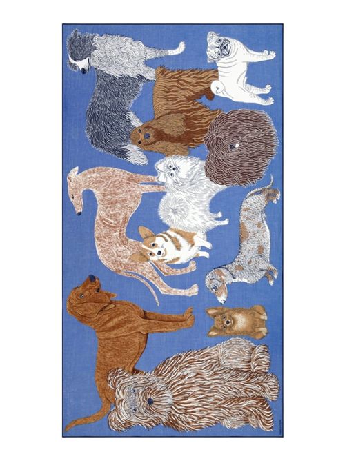 sciarpa donna 100x190 fantasia toutou blu